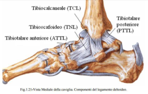 Distorsione della caviglia